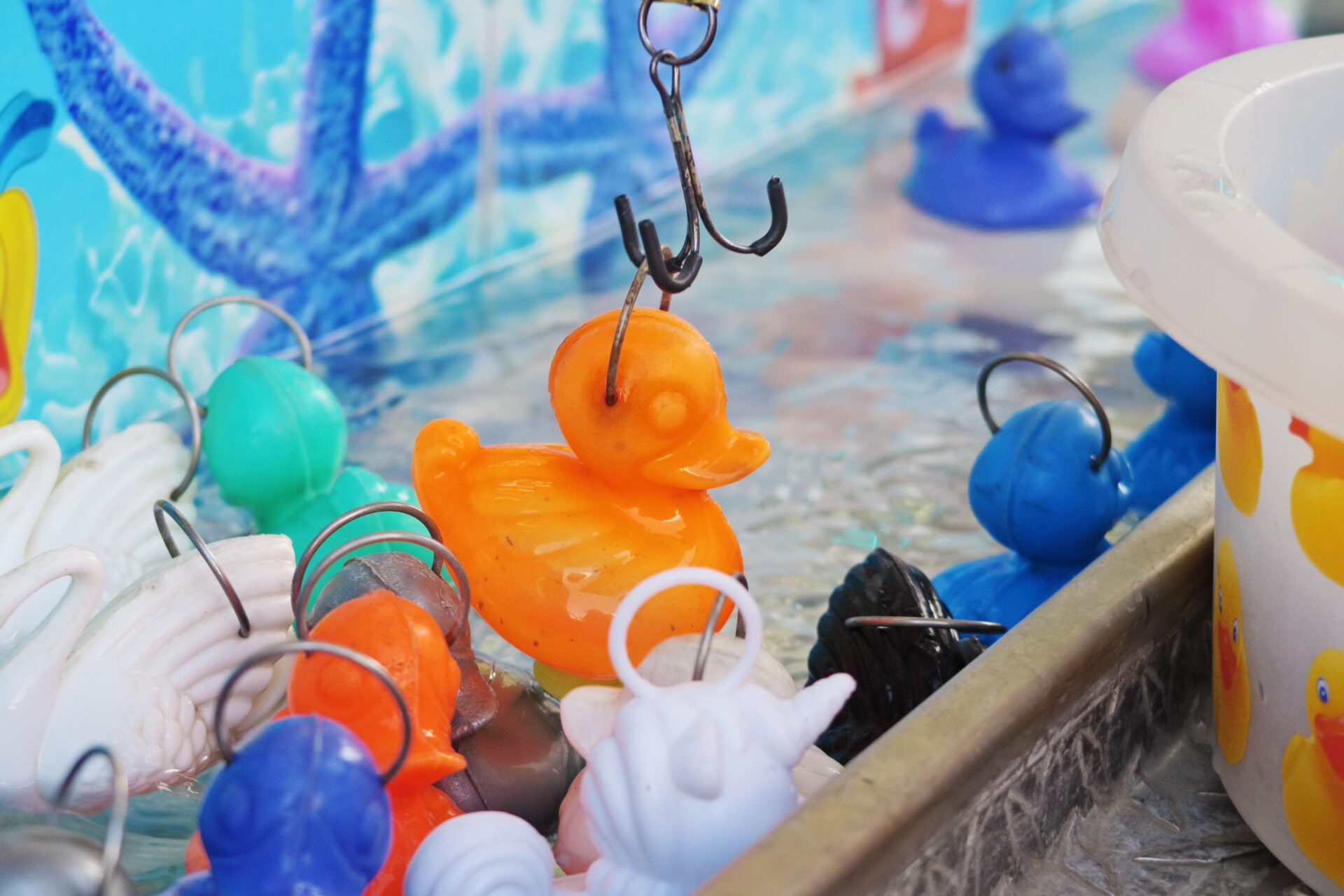 pêche aux canards